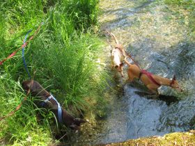 IMG_0274.JPG