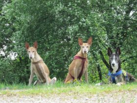 Osterspaziergang.jpg