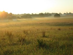 Bodennebel.jpg