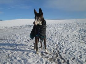 31.01.Anka.jpg