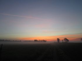 IMG_2303.JPG