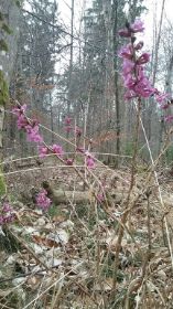 20170315_161007_resized.jpg