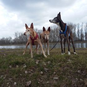 20160323_114226.jpg