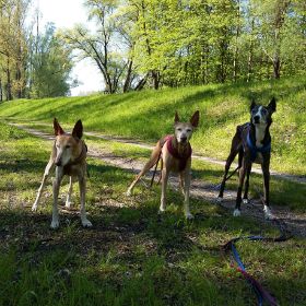 20160507_094538_resized.jpg